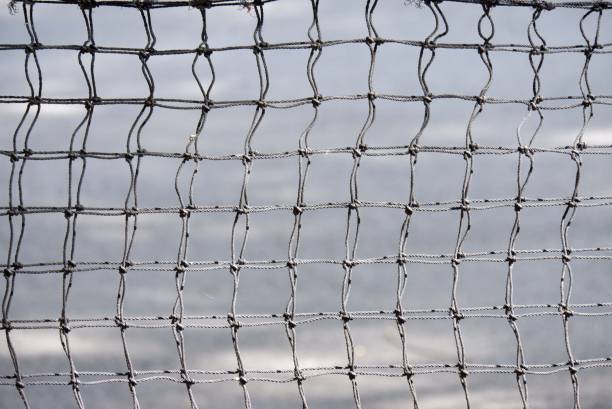 istock In selective focus a nylon grid net with sunlight and blurred concrete background 2187893659