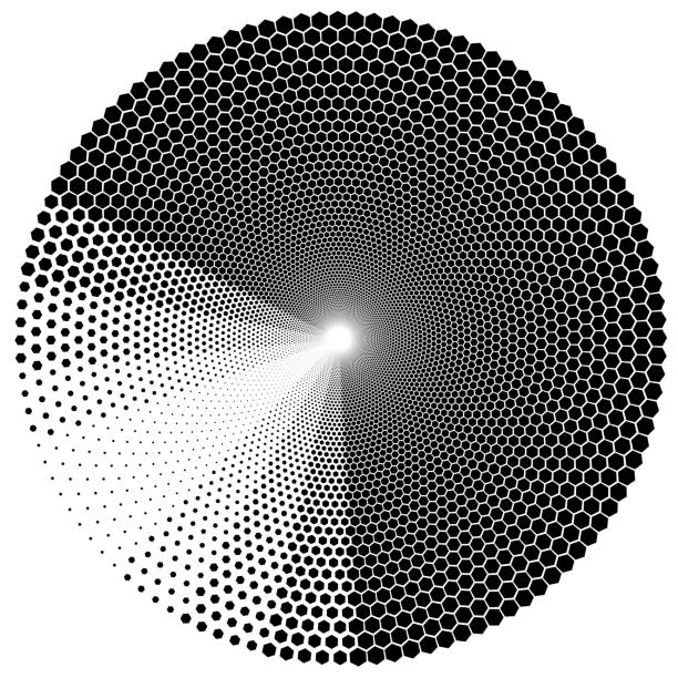 Transisi Pattern 310+ Transitioning Pattern Stock Photos, Pictures & Royalty-Free Images ...