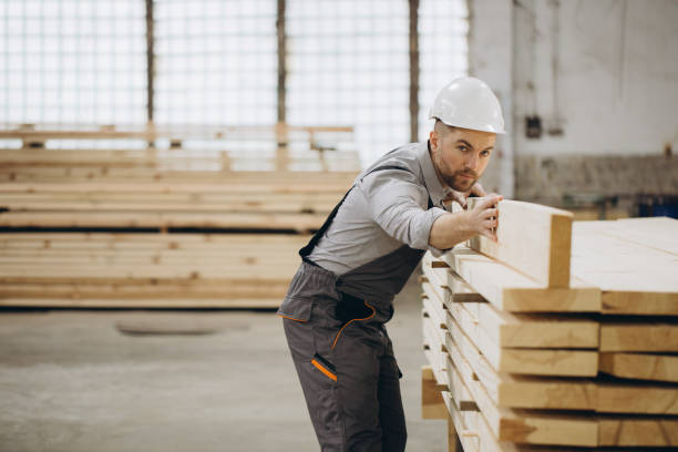 istock Carpenter checking wooden planks in workshop for modular building 2187897453