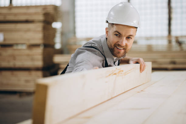istock Carpenter checking wooden plank in timber warehouse for modular building 2187897847