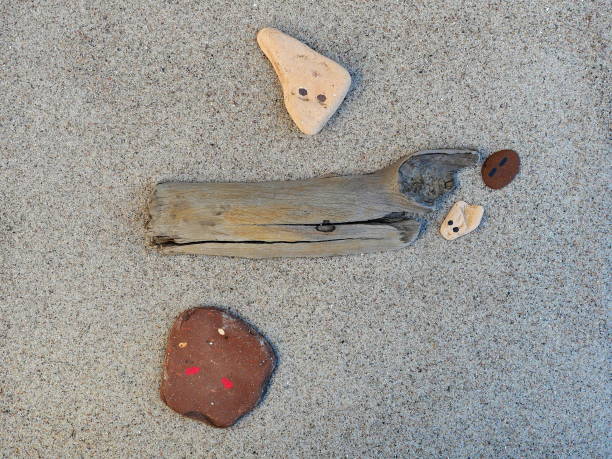 Driftwood partially buried in sand makes a rich sea side background