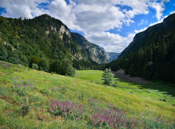 Beautiful Kyrgyz mountain. Amazing nature view . High quality photo