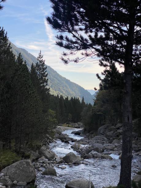 istock Tranquil River in the Vall the Boi 2187901545