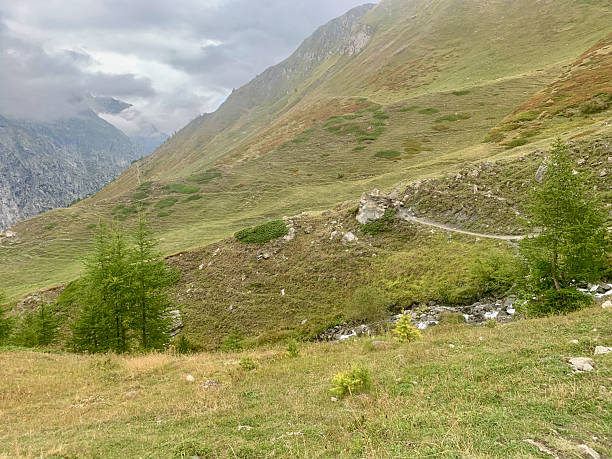 istock Landscape during the ascent of Col Ferret 2187902067