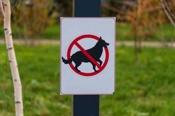 istock Brightly colored sign indicates that dog walking is not allowed in this park. The warning symbol features a silhouette of a dog with a prohibition mark 2187904857