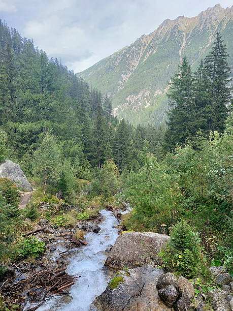 istock Hiking trail between Champex and Fenetre d'Arpette in Switzerland 2187905553