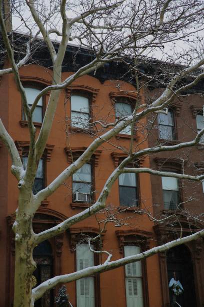 istock Beautiful Brooklyn brownstone with a snow covered tree in the foreground on a cold winter day in Brooklyn New York 2187905742