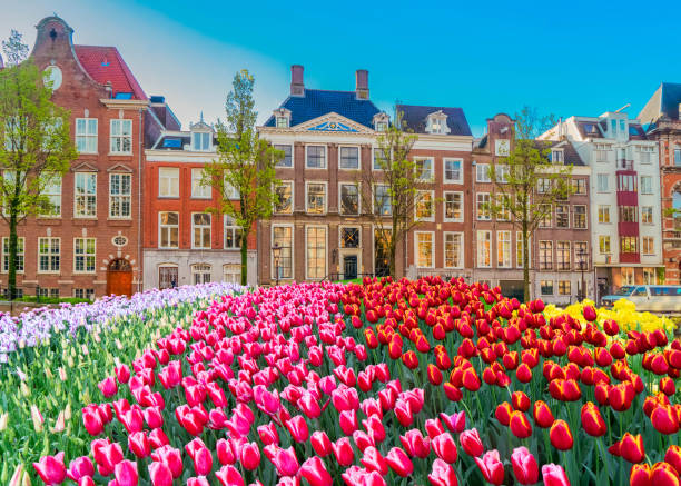 Facades of old historic Houses and trees over canal water, Amsterdam, Netherlands