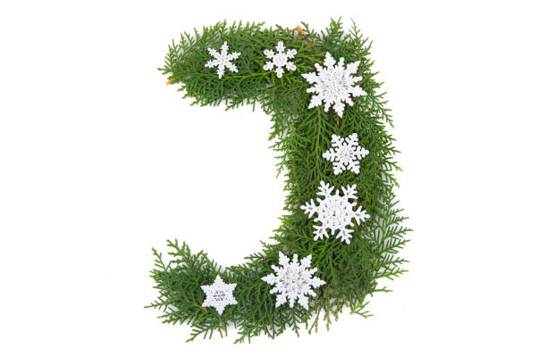 Winter letters alphabet or font made of pine branches and snowflakes