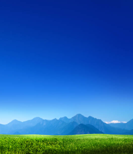 Empty green grass field over sunny blue sky