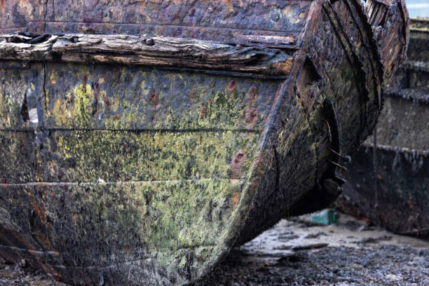 istock wreck of old and rusty boat washed up on the shore 2187917388