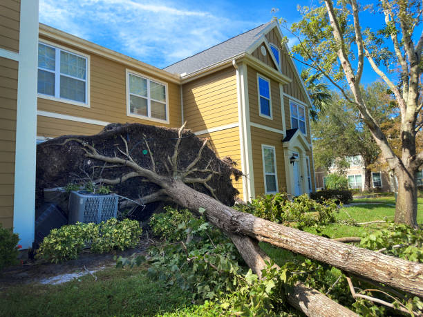 istock Close up large fallen tree by house after hurricane 2187918403