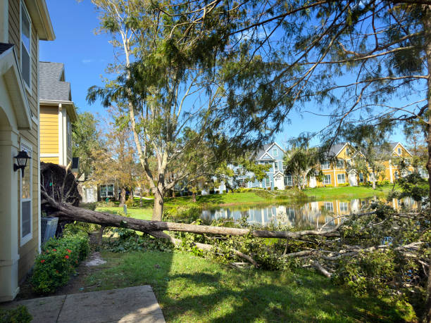 istock Close up large fallen tree by house after hurricane 2187918699