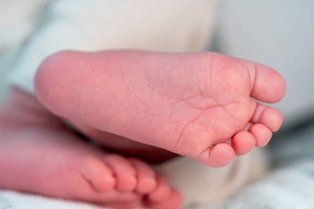 newborn baby feet, tiny toes