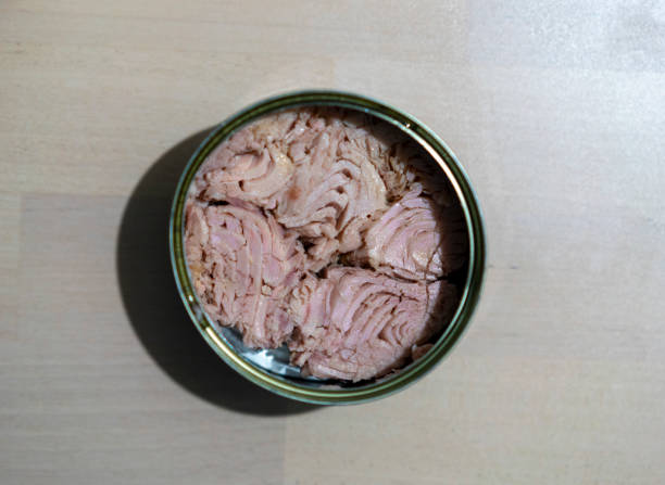 tuna in a can, ready to eat
