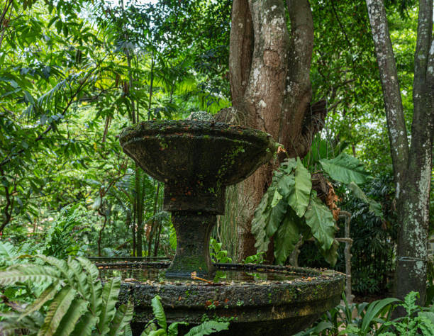 istock Ancient fountain in the forest 2187921471