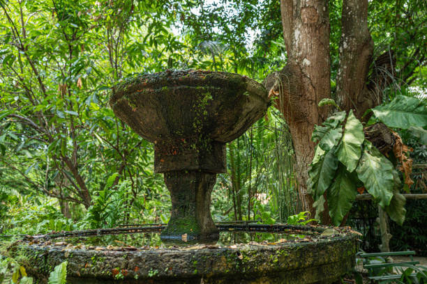 istock Ancient fountain in the forest 2187921472