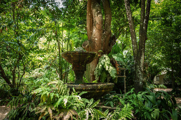 istock Ancient fountain in the forest 2187921513