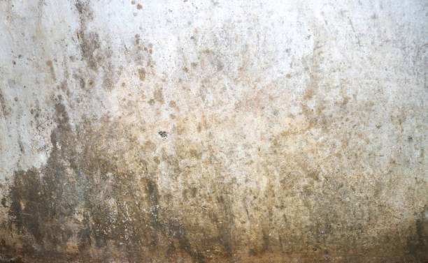 Rainwater leaks into the walls causing permanent damage and yellow stains, peeling wall paint and mold. Rainwater leaks into the walls causing permanent damage and yellow stains, peeling wall paint and mold. mold remediation stock pictures, royalty-free photos & images
