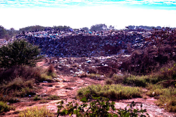 Value waste
