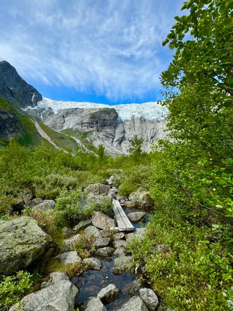 Lush Green Approach to Glacier