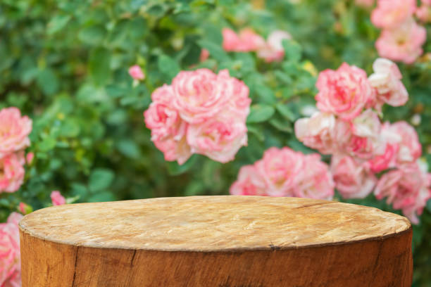istock Empty old tree stump table top with blur rose garden background for product display 2187927256