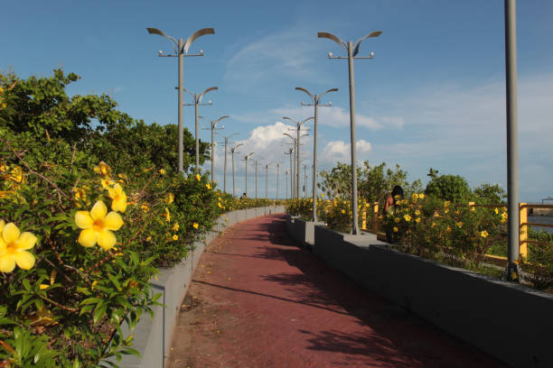 The seaside bike path