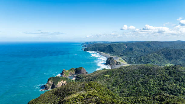Views from the Mercer Track looking over Piha Beach
