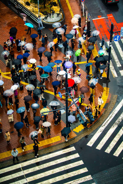 istock The Colors  of umbrellas 2187944877