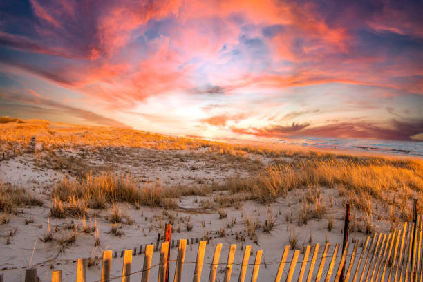 Beautiful golden hour sunset on ocean dunes