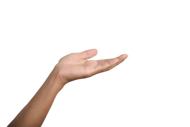 istock Hands open and ready to help or receive on white background 2187946758