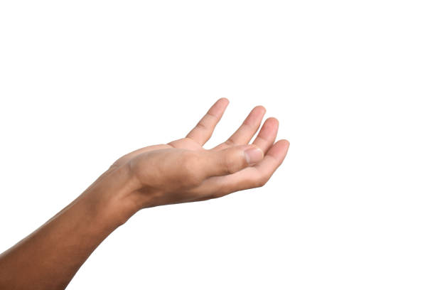 istock Hands open and ready to help or receive on white background 2187946787