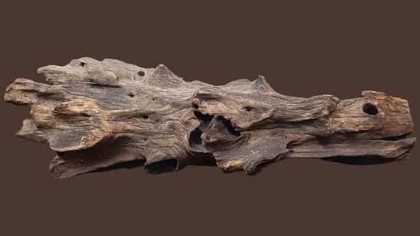 istock A piece of wood with a unique texture and shape. 2187946882
