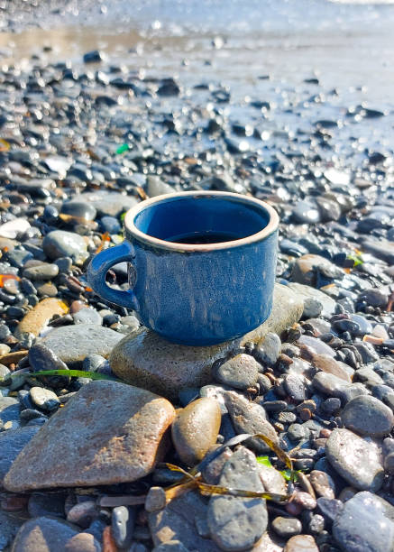 istock Blue coffee cup sitting on damp rocks by the seaside in the sunshine 2187948681