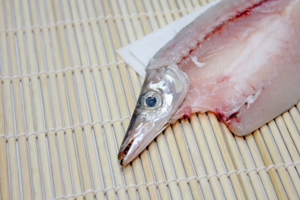 istock Must-see for fishing lovers! Barracuda 2187950326