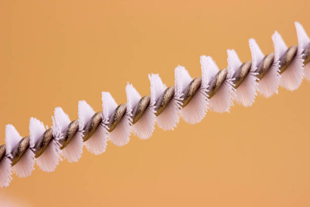 brushes for cleaning children's dishes on a light background close-up