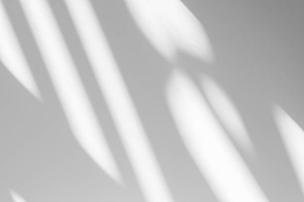 istock Wall interior background, studio and backdrops show products.with shadow from window color white . background for text insertion and presentation product 2187956253