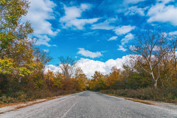 Empty asphalt road among yellow autumn trees in the forest