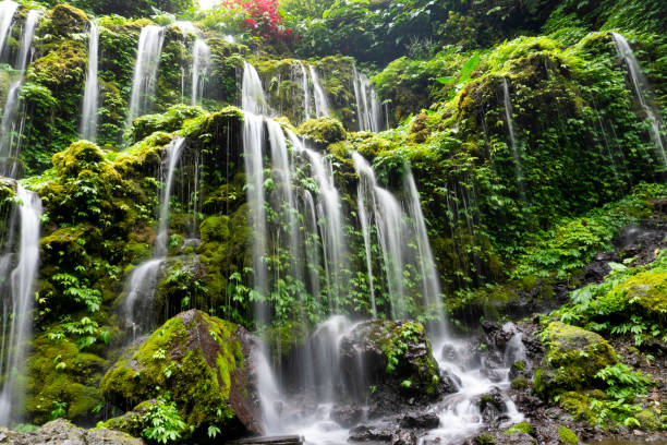 istock Waterfall in the forest on a rainy season. 2187965005