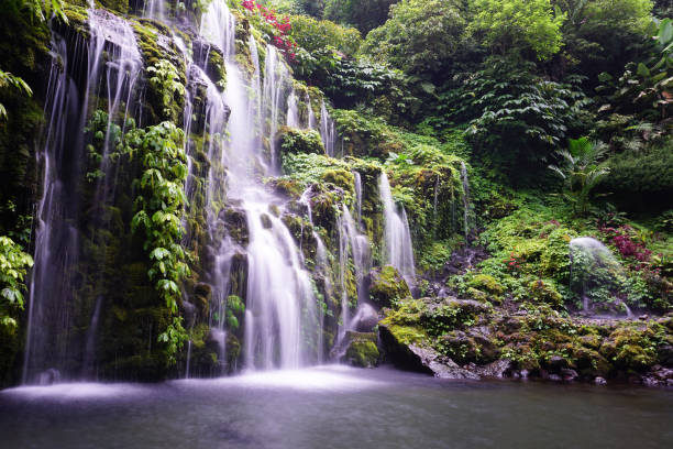 istock Waterfall in the forest on a rainy season. 2187965008