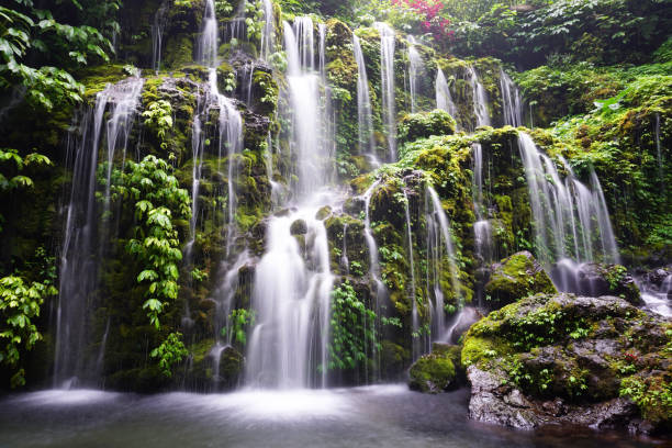 istock Waterfall in the forest on a rainy season. 2187965063