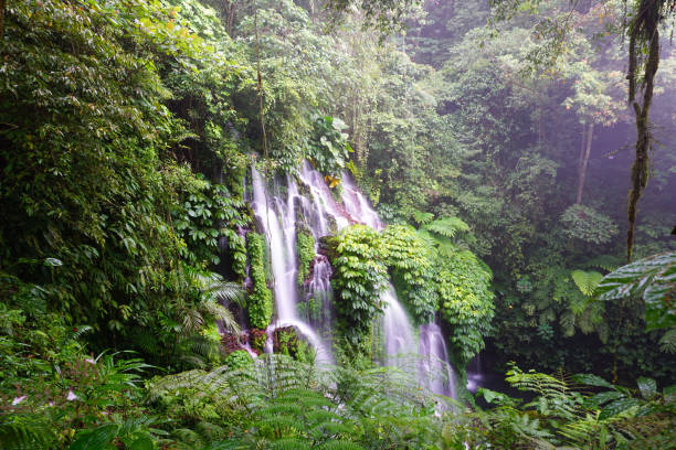 istock Waterfall in the forest on a rainy season. 2187965129