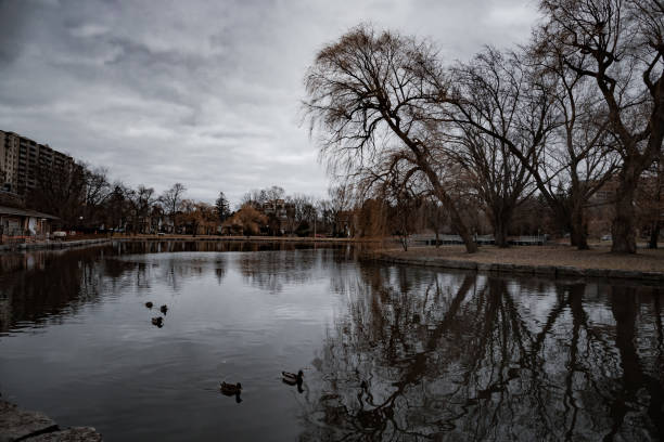 Old park in dark tones. feeling of eeriness and mysticism, ghosts. haunted place Victoria Park in Kitchener, Ontario