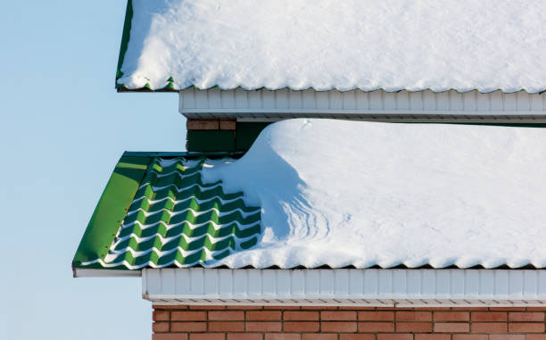 istock A green roof covered in snow 2187966396