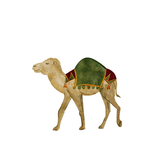 istock Camel with rich green saddle, blanket Christmas watercolor illustration. 2187967663