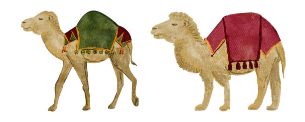 istock Camels with rich saddle blankets Christmas watercolor illustration set. 2187967686
