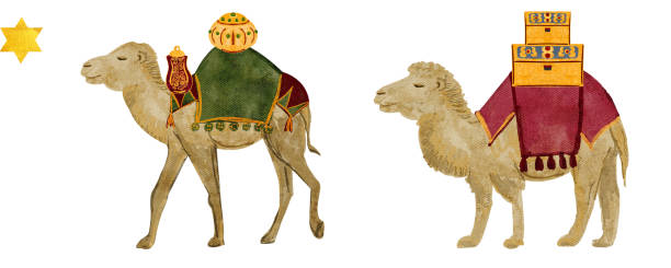 istock Camel with rich red saddle, blanket Christmas watercolor illustration. 2187967696