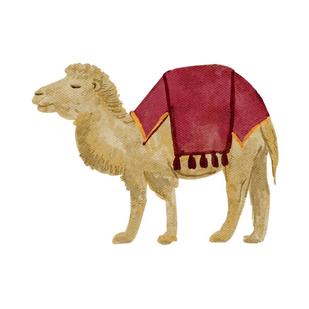 istock Camel with rich red saddle, blanket Christmas watercolor illustration. 2187968133