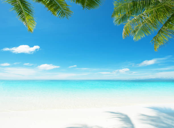 istock Tropical paradise beach scene for background or wallpaper 2187968747