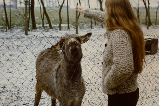 Relaxing young Woman  in the Seventies vist a Zoo on a winter Day.